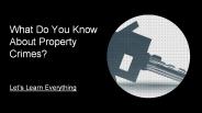 Property Crimes Defense Attorney