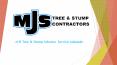 Best Arborist Services in Adelaide by MJS Tree & Stump PowerPoint PPT Presentation