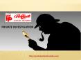 Private investigation PowerPoint PPT Presentation