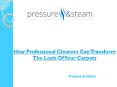 How Professional Cleaners Can Transform The Look Of Your Carpets PowerPoint PPT Presentation