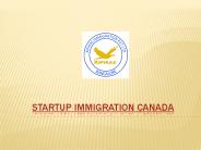 startup immigration canada