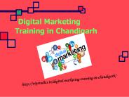 Digital Marketing  Training in Chandigarh