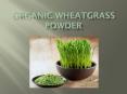 Do You Know About Amazing Superfood Organic Wheatgrass Powder? PowerPoint PPT Presentation