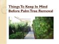 Things To Keep In Mind Before Palm Tree Removal PowerPoint PPT Presentation