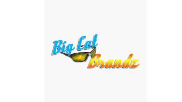 Big Cat Brandz, LLC - Branding Company