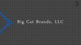 Big Cat Brandz, LLC - Leading New Product Placement Company