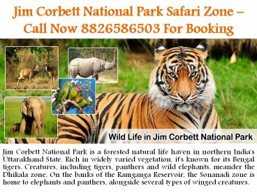 Call Now @8826586503 Jim Corbett Online Booking & Inquiry