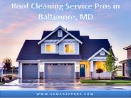 Professional Roof Cleaning in Baltimore