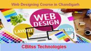 Web Designing Training in Chandigarh (1)