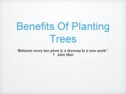 Benefits Of Tree Plantation