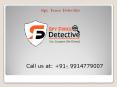 Private detective agency in Chandigarh, Punjab, Himachal PowerPoint PPT Presentation