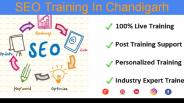 SEO Training In Chandigarh