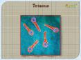 Tetanus : causes, symptoms, types, diagnosis, treatment and prevention (1) PowerPoint PPT Presentation
