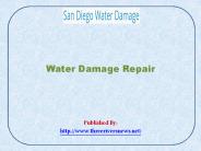 Water Damage Repair