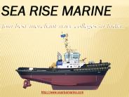 Best Merchant Navy College in India