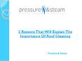 5 Reasons That Will Explain The Importance Of Roof Cleaning PowerPoint PPT Presentation