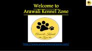 Best Dog Boarding centre in gurgaon