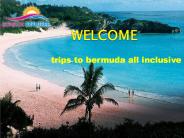 trips to bermuda all inclusive.