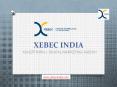 Advertising Agency in Pune | Digital Marketing Agency | Xebec India | Xebec Communication (1) PowerPoint PPT Presentation