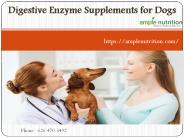 Best and powerful digestive enzyme supplements for dogs