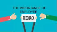 The Importance of Employee Feedback  - CU Suggestions
