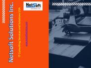 Best IT Services - Netsoft Solutions Inc. (1)