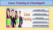 Linux Training in Chandigarh (1)
