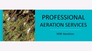 Professional Aeration Services