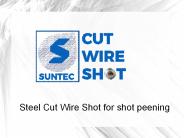 Steel Cut Wire Shot for shot peening (16)