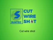 Cut wire shot (10)