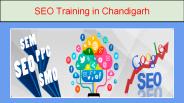 SEO Training in Chandigarh (1)