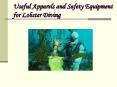 Useful Apparels and Safety Equipment for Lobster Diving