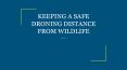 KEEPING A SAFE DRONING DISTANCE FROM WILDLIFE PowerPoint PPT Presentation