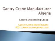 Gantry Crane Manufacturer Algeria