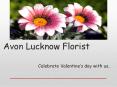 flowers delivery in Lucknow (1) PowerPoint PPT Presentation