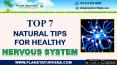 Top 7 Natural Tips for Healthy Nervous System | Strengthen Your Nervous System PowerPoint PPT Presentation