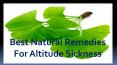 Best Natural Remedies For Altitude Sickness PowerPoint PPT Presentation