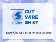 Steel Cut Wire Shot for shot blasting (17)