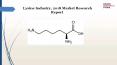 Lysine Industry, 2018 Market Research Report PowerPoint PPT Presentation