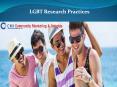LGBT Research Practice PowerPoint PPT Presentation