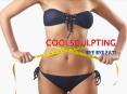 COOLSCULPTING - Bye Bye Fat! PowerPoint PPT Presentation