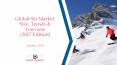 Global Ski Market: Size, Trends & Forecasts (2017 Edition) PowerPoint PPT Presentation