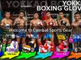 Information Presentation Of Combat Sports Gear PowerPoint PPT Presentation