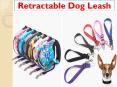 High Quality Retractable Dog Leash PowerPoint PPT Presentation