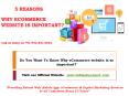 Top 5 Reasons Why eCommerce website is so important For your Business