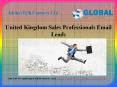 United Kingdom Sales Professionals Email Leads