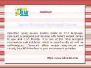 Opencart Ecommerce Development Company