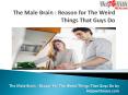 Reasons for The Weird Things Guys Do in a Relationship PowerPoint PPT Presentation