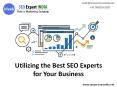 SEO Experts Delhi - Get excessive ranking PowerPoint PPT Presentation