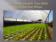 Marijuana San Diego
